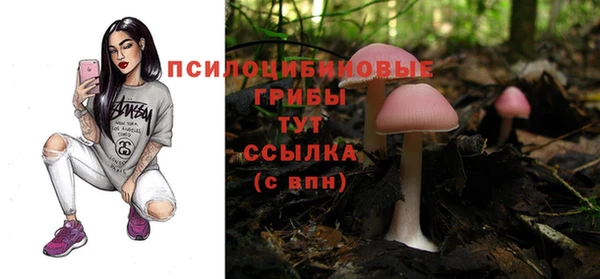 герыч Алексин