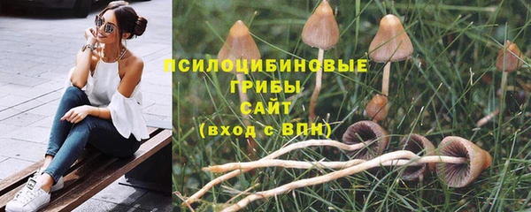 прущая мука Абинск