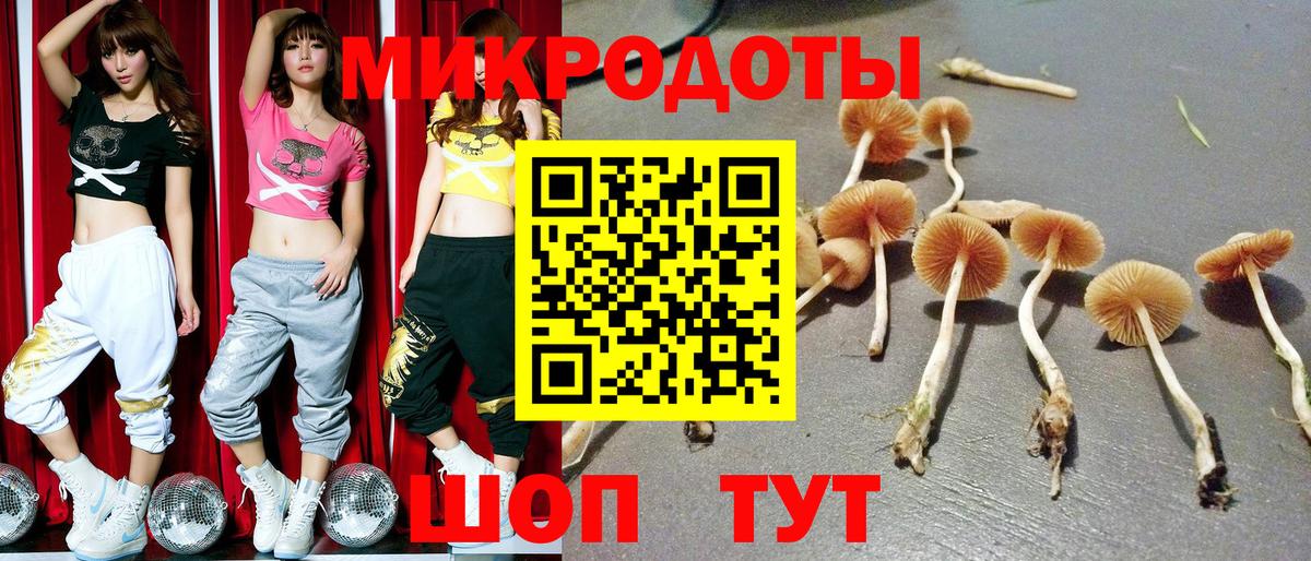 Павловский Посад  Галлюциногенные грибы MAGIC MUSHROOMS  купить наркоту  Вход с VPN 