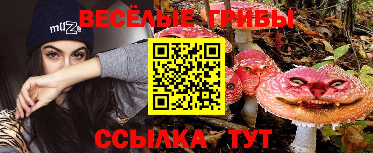 Псилоцибиновые грибы мухоморы Павловский Посад